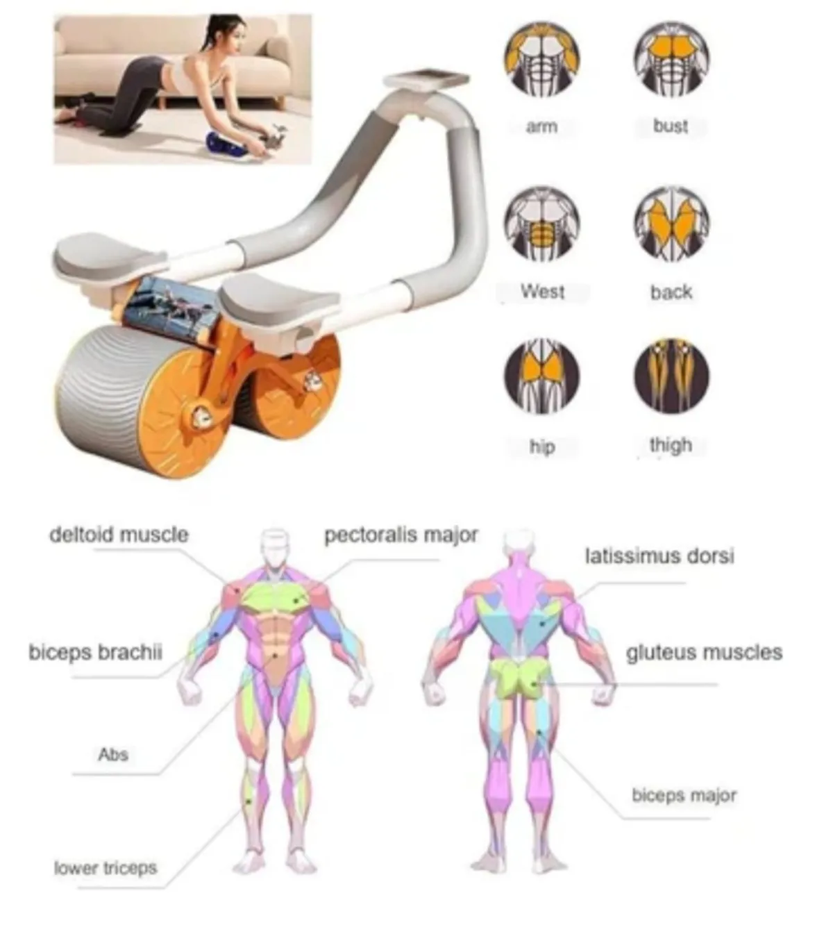 RODILLO ABDOMINAL 4 SOPORTE CON MEDIDOR DE CONTEO — Aparatos de gimnasia