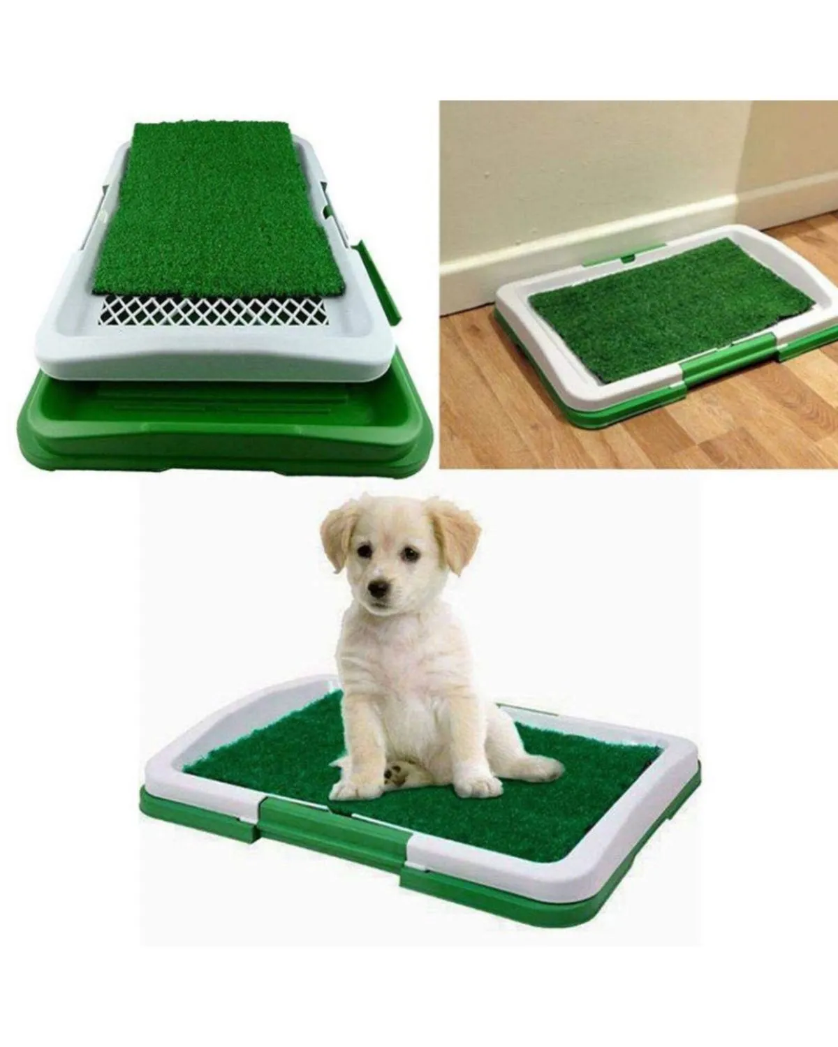 Baño entrenador Para Mascotas medianas — Accesorios para entrenamiento / control de mascotas