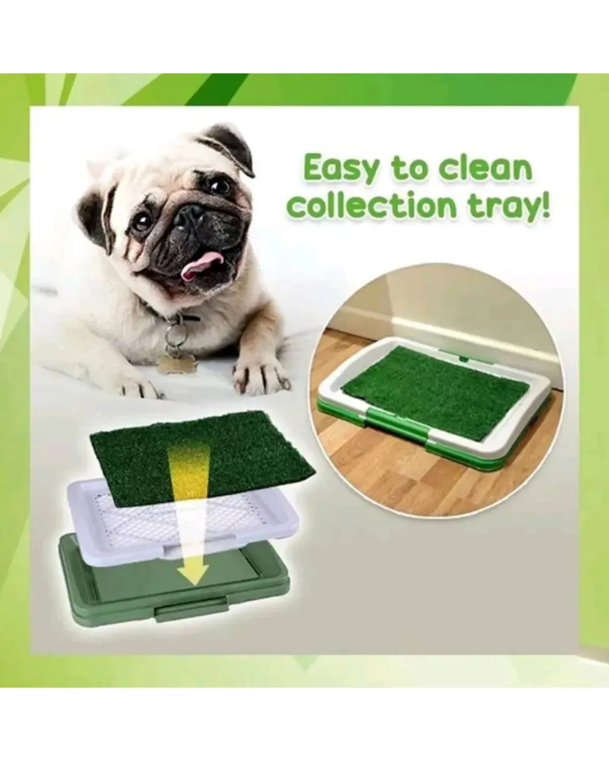 Baño entrenador Para Mascotas medianas